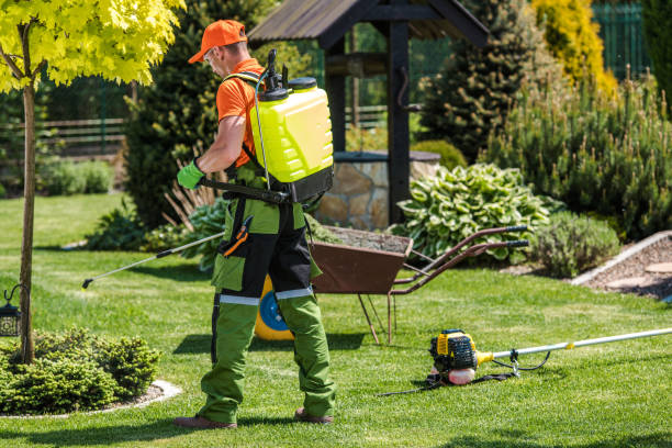 Best Lawn Pest Control  in Archdale, NC